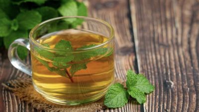 Minuman Menyehatkan untuk Memperkuat Daya Tahan Tubuh