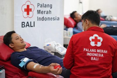 Informasi Lengkap PMI Bali: Alamat Kantor, Nomor Telepon, Jadwal Donor Darah, dan Layanan Kemanusiaan