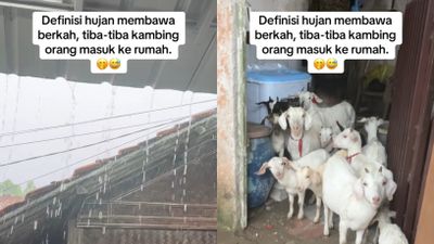 Hujan Bawa Berkah, Rumah Cewek Ini Mendadak Kedatangan Tamu Tak Terduga