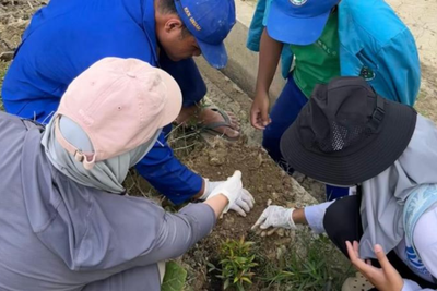 Mahasiswa UNY dan Universitas Samudra Hijaukan Kembali Desa Seuneubok Aceh dengan 60 Pohon Pucuk Merah