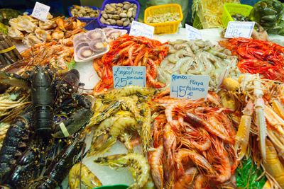 Produk Perikanan Indonesia Siap Unjuk Kualitas di Seafood Expo North America 2026