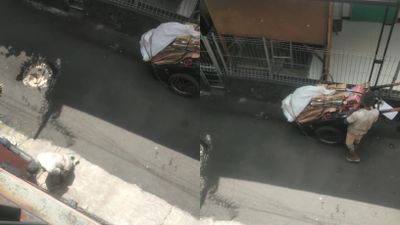 Ketahuan Mencuri, Tukang Rongsok Ini Malah Ditegur dengan Bahasa Sopan