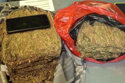 Polda Metro Temukan 4,3 Ganja di Depok, Dikemas Pakai Kain