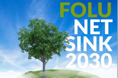 Strategi Dishut Kalsel Pulihkan Lahan Kritis Lewat Pendanaan FOLU Net Sink 2030