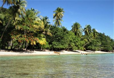 Ini Deretan Destinasi Favorit yang Wajib Dikunjungi Saat Menghabiskan Weekend di Jayapura