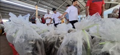 Permintaan Ikan di Pasar Meningkat, TPI Pekalongan Tetap Beroperasi Saat Lebaran