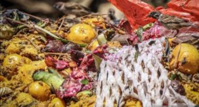 Lebaran dan Potensi Lonjakan Sampah Makanan, Dosen IPB University: Budaya Konsumsi Kita Perlu Dibenahi