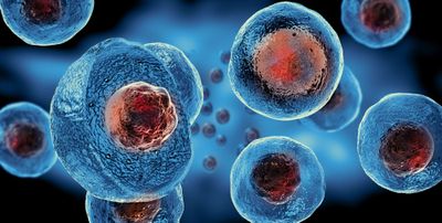 Jepang Resmi Gunakan Stem Cell untuk Sembuhkan Parkinson dan Gagal Jantung!