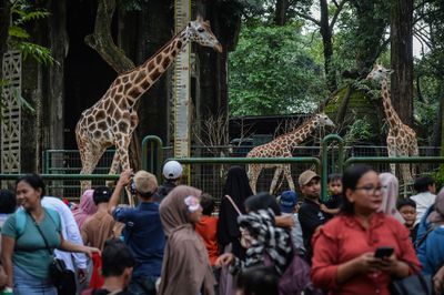 Ragunan Jadi Primadona Libur Lebaran, Tembus 72 Ribu Orang dalam Sehari