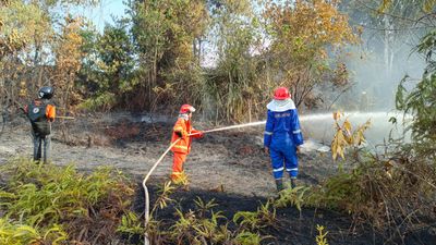 Karhutla Marak di Tarakan, Camat Tarakan Utara Imbau Warga Hentikan Pembakaran Lahan