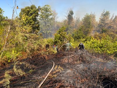 Dua Petugas Luka Saat Pemadaman Karhutla di Tarakan