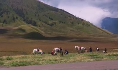 Menikmati Gunung Bromo dari Atas Kuda, Pengalaman Wisata yang Lebih Dekat