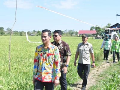 Panen Bersama di Nunukan Selatan, Bupati Tekankan Kolaborasi Perkuat Ketahanan Pangan