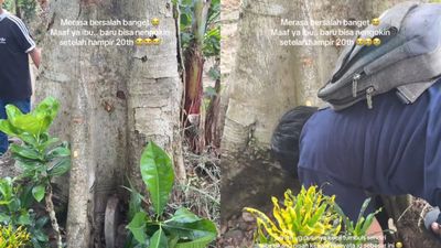 Setelah 20 Tahun Tak Ziarah, Anak Perempuan Ini Kaget Lihat Makam Ibu Tertutup Pohon Besar