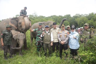 Pagar Pembatas Sepanjang 138 Kilometer Dibangun di Way Kambas Lampung, Target Selesai 4 Bulan