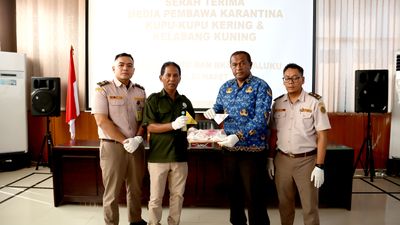 Barantin Amankan 900 Satwa Liar di Kargo Bandara Pattimura, Ambon