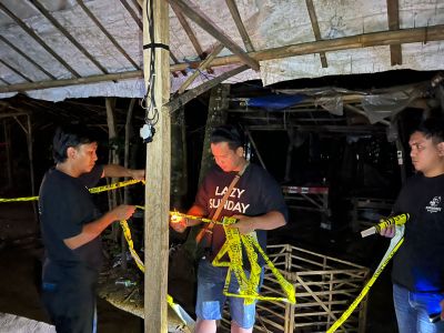 Tindaklanjuti Informasi yang Berkembang, Polda Banten Gerebek Lokasi Sabung Ayam Walantaka