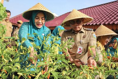 Panen Raya 1,2 Ton di Jakarta Pusat, Bukti Urban Farming Jadi Solusi Ampuh Cegah Stunting