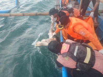 Tujuh Hari Pencarian Korban Terseret Arus di Pantai Kayakas Ditemukan Meninggal Dunia