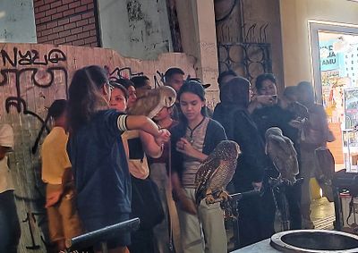 Serunya Belajar Cinta Satwa di Kayutangan, Komunitas Reptil dan Burung Ajak Warga Lebih Peduli