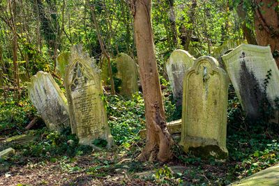 Meninggal di Hari Selasa Kliwon: Antara Mitos Pesugihan, Tradisi Jaga Makam, dan Pandangan Islam