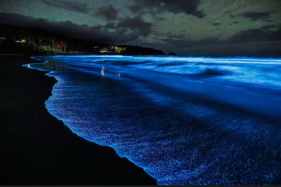 Mengenal Bioluminescence, Rahasia di Balik Air Laut yang Bercahaya Biru Malam Hari