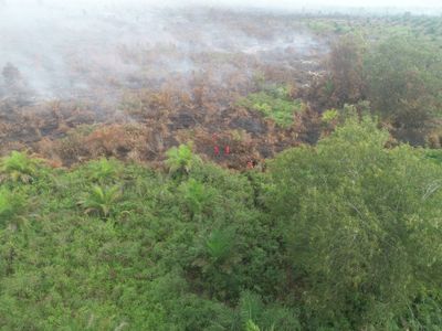 Belasan Titik Api Terpantau di Riau, Tim Gabungan Masih Berjibaku