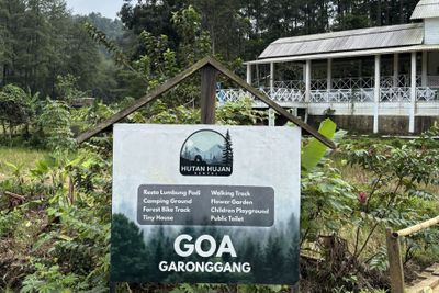 5 Destinasi Sport Tourism di Indonesia: Dari Trekking hingga Diving