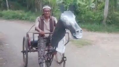 Kreatif! Bapak Ini Bikin Kuda Mekanis dari Besi
