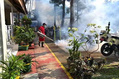 Kecamatan Cempaka Putih Tekan Kasus DBD, Ini Strategi yang Digunakan!