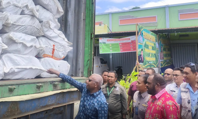 Ekspor Perdana Kulit Masoi dari Mansel Dilepas, Dorong Ekonomi Berbasis Hutan Lestari