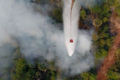 233 Titik Panas Terdeteksi di Riau, Kabupaten Bengkalis Dominasi dengan 213 Hotspot