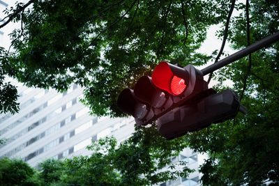 Berapa Denda Menerobos Lampu Merah? Ini Aturan dan Pasalnya