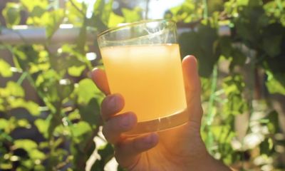 Resep Tepache yang Super Praktis, Begini Cara Olah Kulit Nanas Jadi Minuman Segar