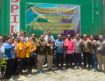Penguatan KPH Didorong, Kulit Masoi Jadi Andalan Ekonomi Berkelanjutan di Mansel