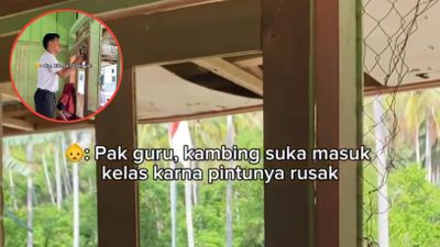 Kambing Sering Masuk Kelas, Guru Ini Pilih Perbaiki Sendiri