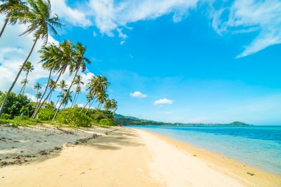 Apakah Pasir Laut Boleh Diambil? Ini Aturan dan Dampak Penambangan Ilegal