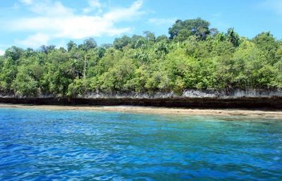 Cara Menuju Pulau Kakaban dan Etika Snorkeling yang Benar