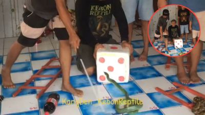 Momen Saat Bapak-bapak ini Bermain Ular Tangga dengan Konsep Tak Biasa Pakai Ular Asli