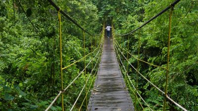 Panduan Menjelajahi Keajaiban Taman Nasional Kutai