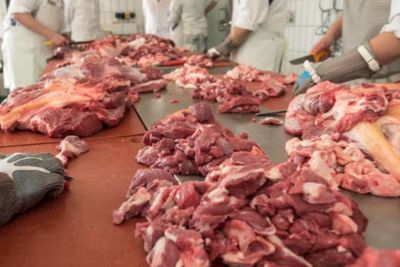 Sesuai Syariat! Ini Ketentuan Pembagian Daging Kurban dan Golongan Penerimanya