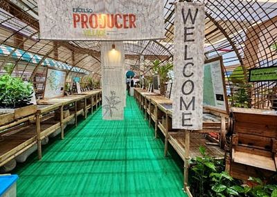 Kopi Indonesia Tampil di Amsterdam Coffee Festival 2026