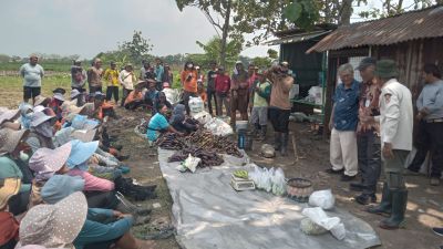 Keren! Perusahaan Tekstil Ini Sediakan Lahan Pertanian untuk Karyawan yang akan Pensiun