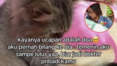 Temani Pemilik dari Kecil hingga Jadi Dokter Hewan, Kisah Kucing Ini Berakhir Pilu