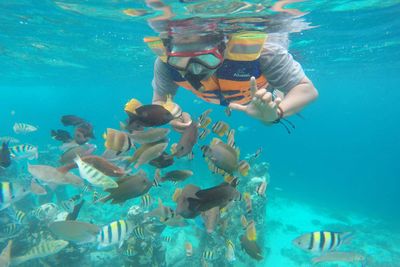 Taman Laut Tumbak, Wisata Bahari Hidden Gem di Sulut