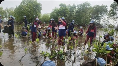Sejumlah Siswa-Siswi MAN Pekalongan Tanam 1.000 Mangrove untuk Cegah Abrasi
