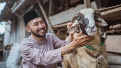 Doa Menyembelih Hewan Kurban: Tata Cara Lengkap, Arab, Latin, dan Artinya