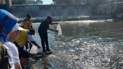 Normalisasi 3 Sungai Besar Jogja Dimulai, Hasto Wardoyo : Winongo Jadi Kick-Off Wisata Mancing