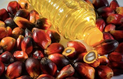 Harga Minyak Goreng Naik, Pemerintah Diminta Perketat Pengawasan