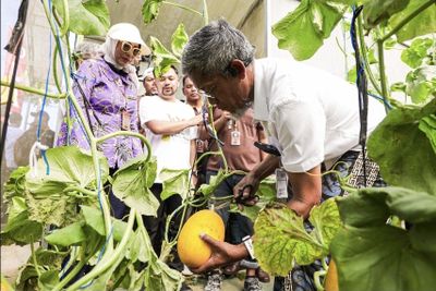 Petani Milenial Jadi Kunci Jateng Bertahan Sebagai Pemasok Pangan Nasional